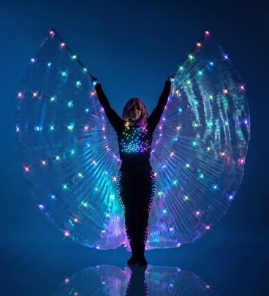 Светодиодные крылья "SparkLed"